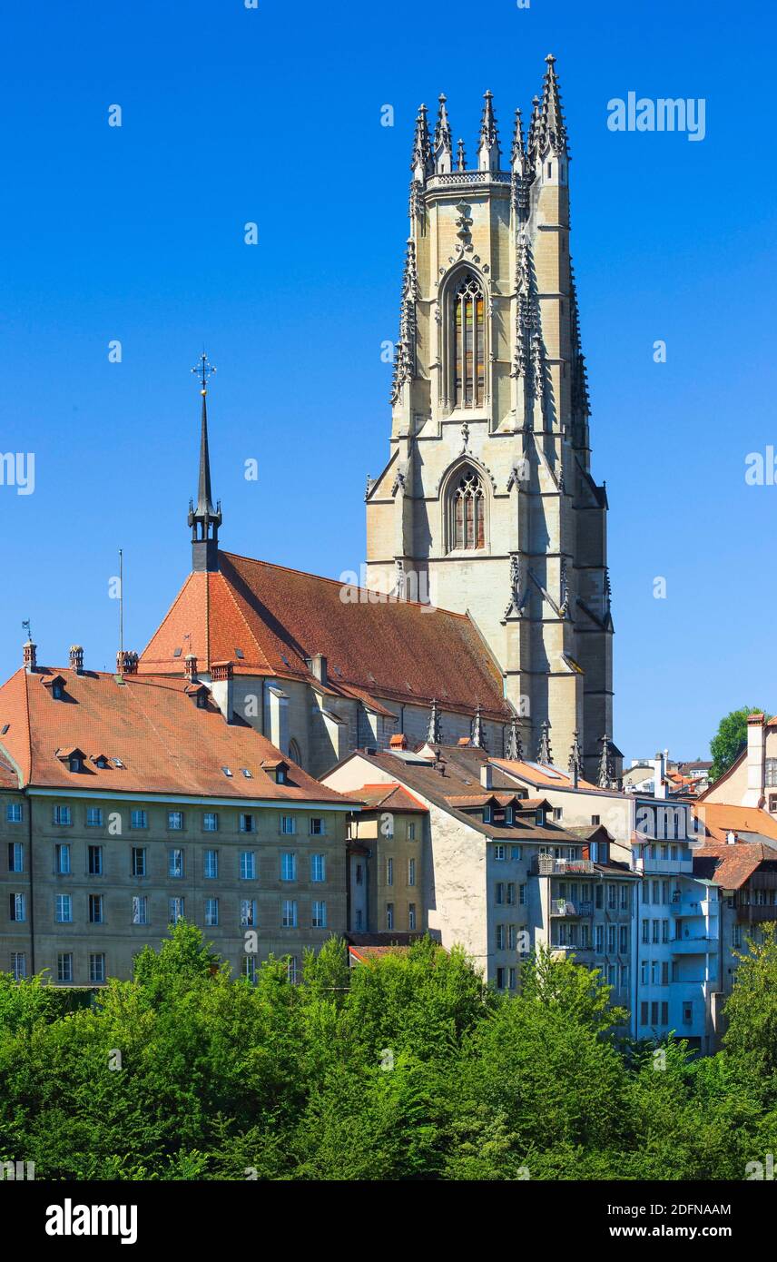 Cattedrale di San Nicola, Friburgo, Canton Friburgo, Svizzera Foto Stock