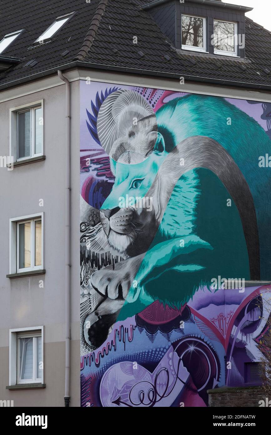 Leone di Graffito a Leap, murale dell'artista di streetart Cokyone, Duesseldorf, Nord Reno-Westfalia, Germania Foto Stock