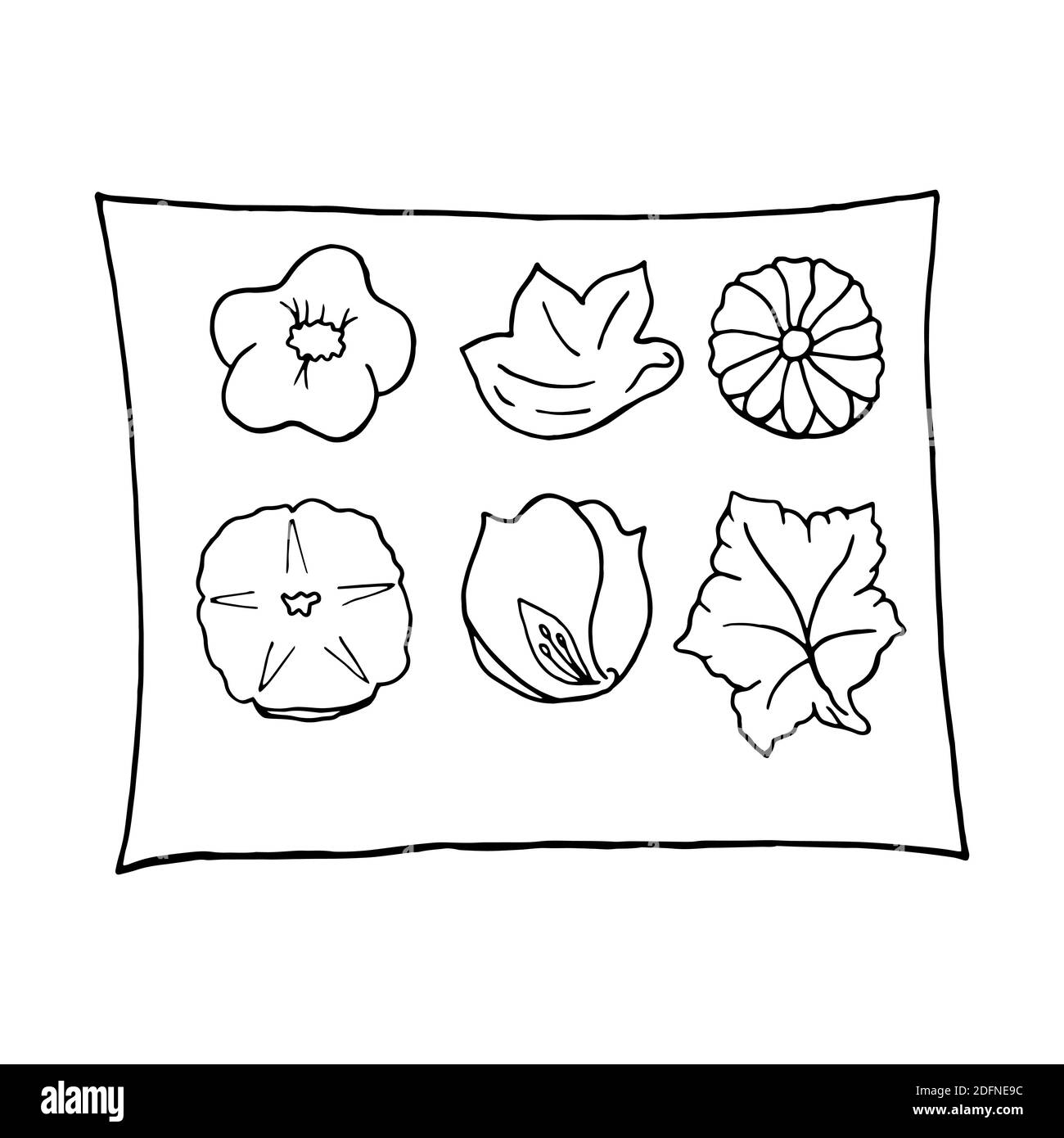 Vettore mano doodle disegnato namagashi. Dessert di riso giapponese. Progettare un elemento di schizzo per menu cafè, ristorante, etichetta e imballaggio. Illustrazione su un whi Illustrazione Vettoriale