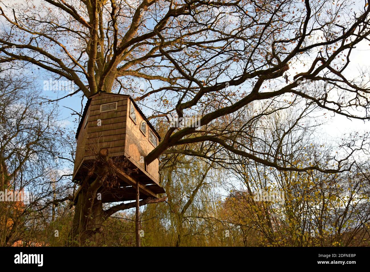 Una casa sull'albero costruita in un giardino dello Shropshire Foto Stock