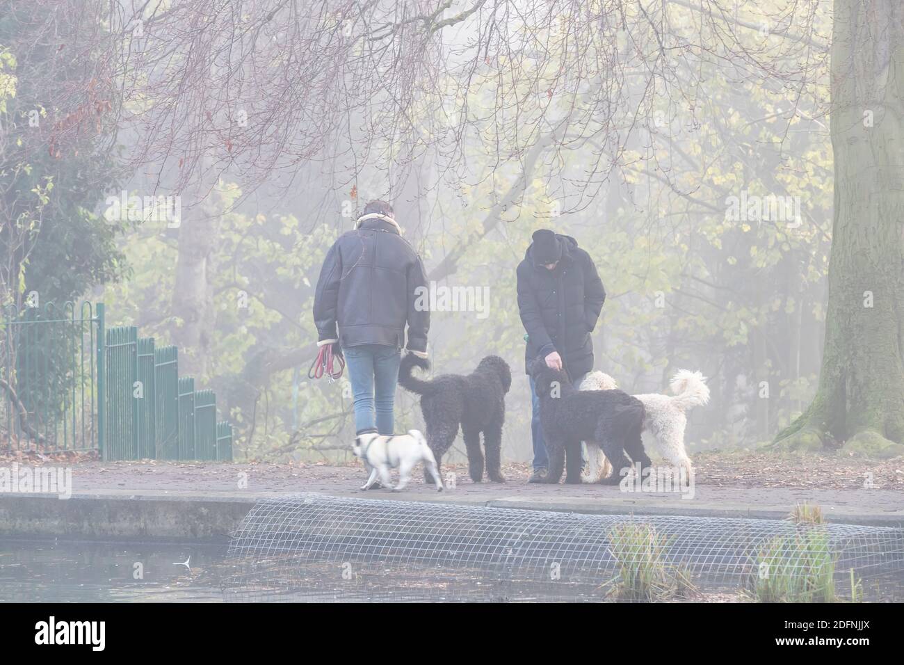 Northampton, Regno Unito 6 dicembre 2020. Nebbia e un gelo duro in Abington Park presto questa mattina previsioni per durare la maggior parte della giornata. Credit: K J Smith./Alamy Live News Foto Stock