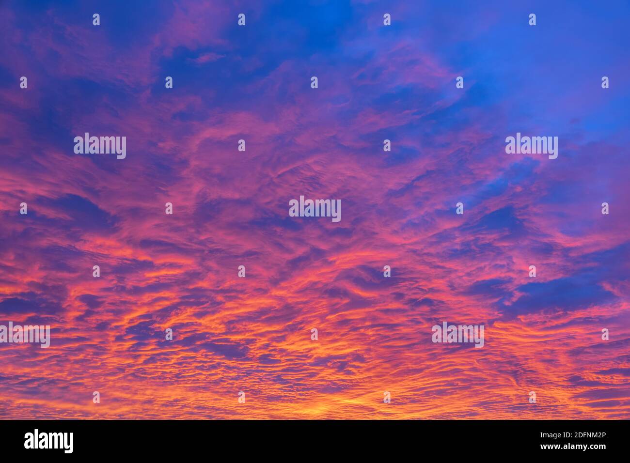 Sfondo texture di un incredibile Tramonto con Blu Rosa e. Nuvole viola Foto Stock