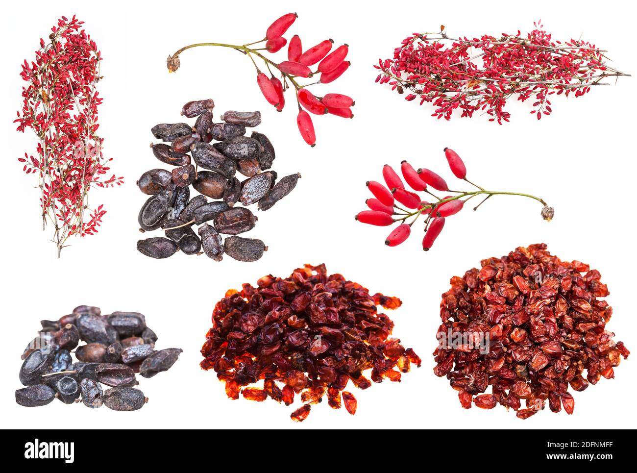 set di vari frutti berberi isolati su sfondo bianco Foto Stock