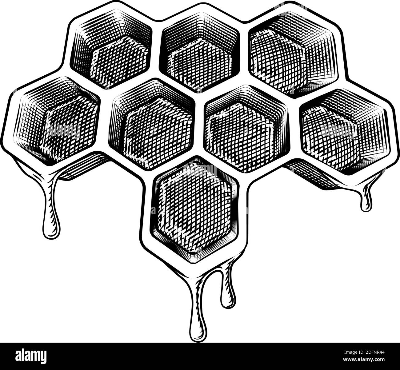 A nido d ape gocciolamento con miele in stile vintage Illustrazione Vettoriale