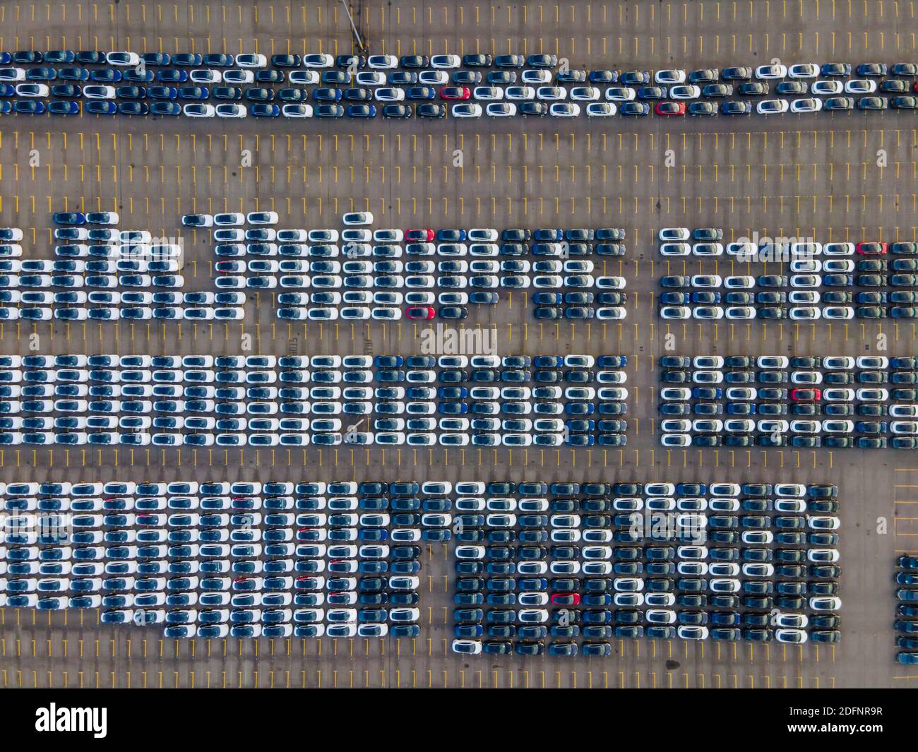 Vista dall'alto di molte auto parcheggiate in attesa di trasporto aereo vista drone allineata strutturata Foto Stock