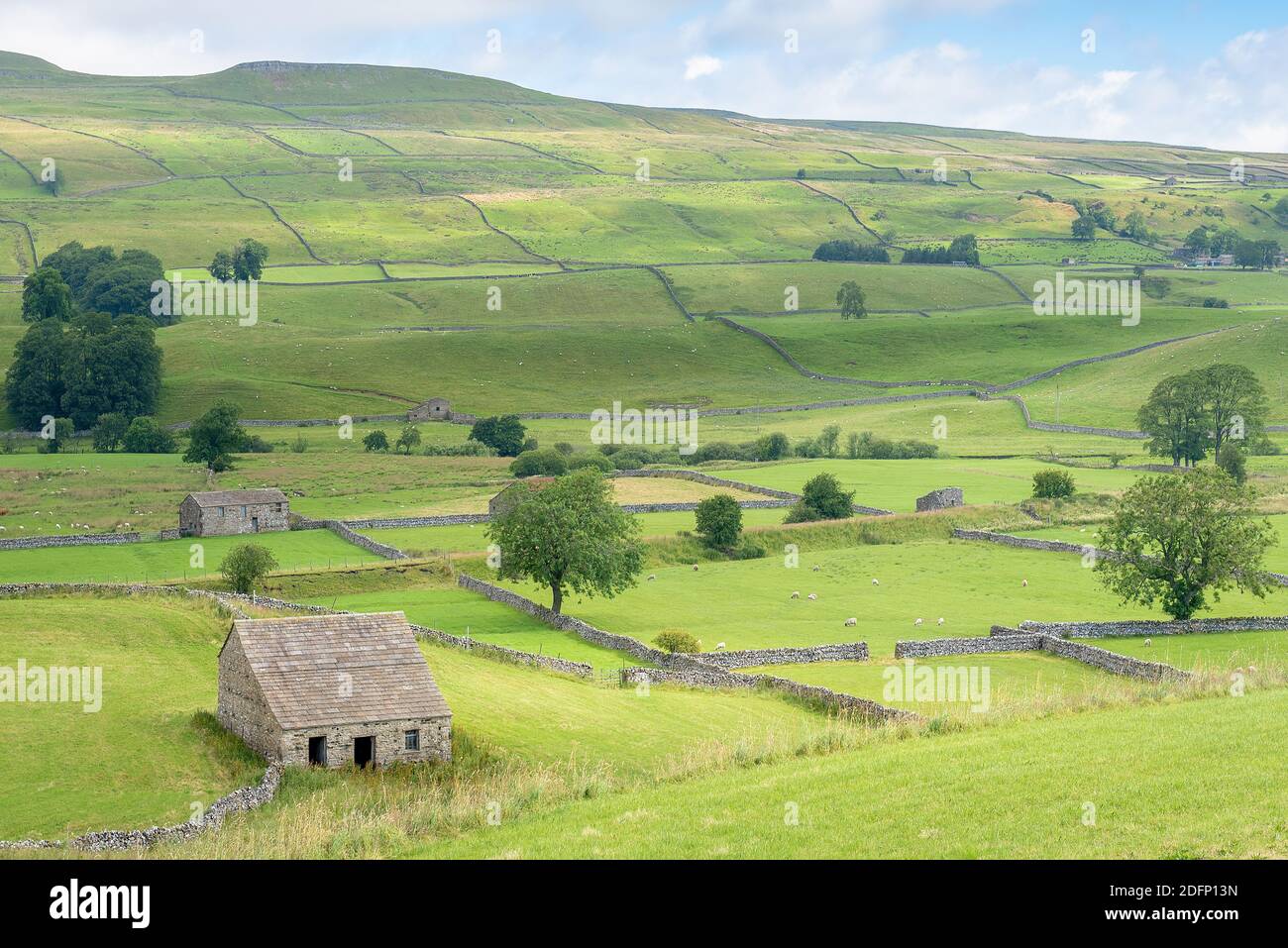 Cotterdale, Yorkshire Dales National Park, York, Inghilterra - una vista di un vecchio fienile di pietra, pecore e il paesaggio ondulato delle valli dello Yorkshire. Foto Stock