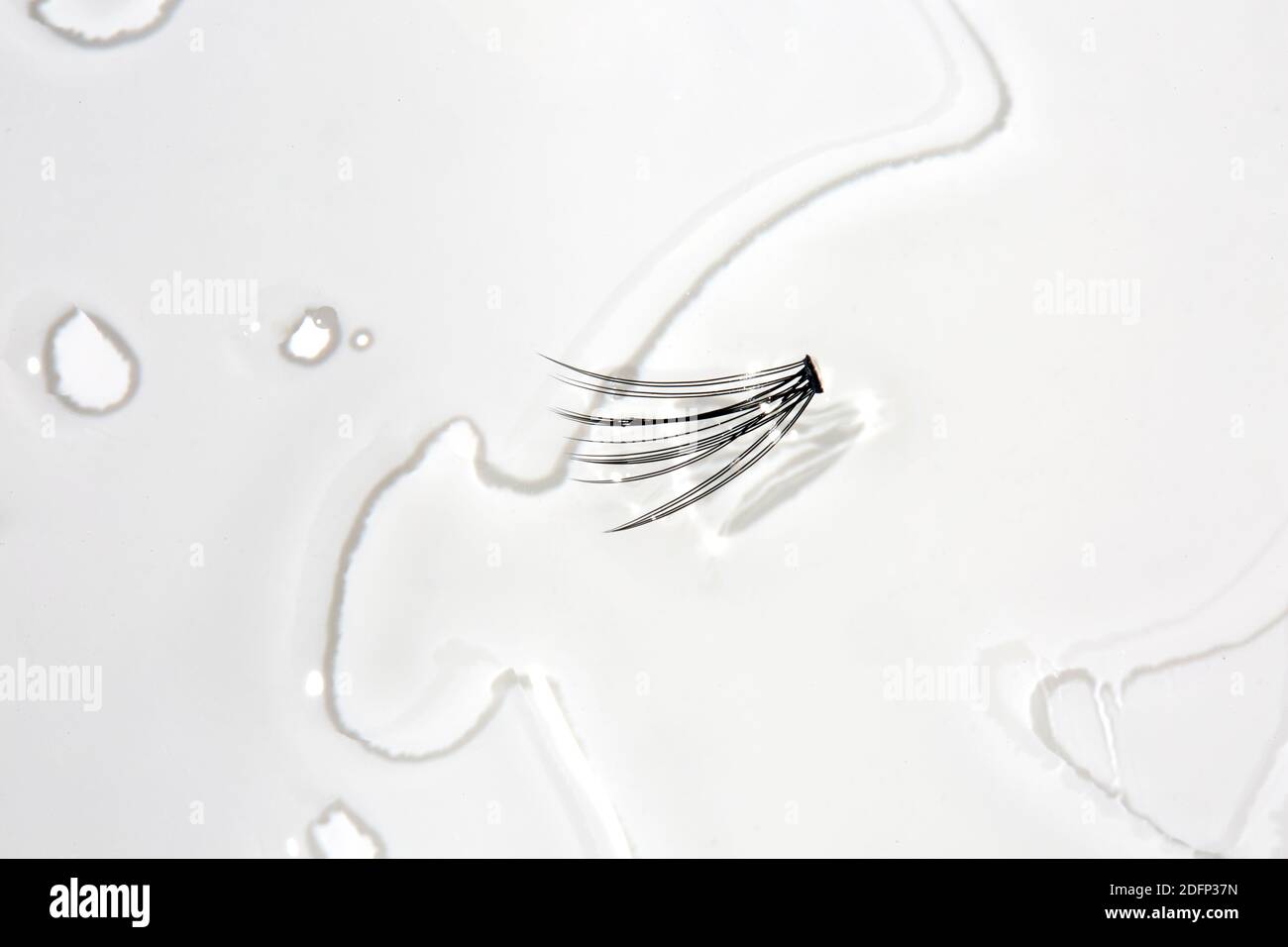 Artificiale individuale occhio Lash in acqua puddle su sfondo bianco Foto Stock