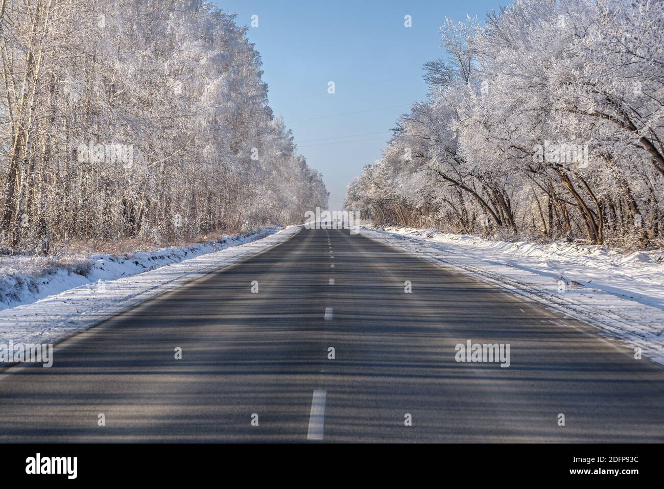 Incredibile vista invernale con una strada asfaltata diritta, ombre, alberi in brina e nevicate sul lato della strada contro un cielo blu Foto Stock