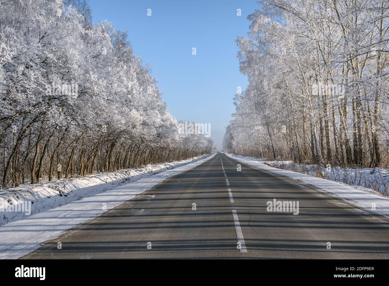Incredibile vista invernale con una strada asfaltata diritta, ombre, alberi in brina e nevicate sul lato della strada contro un cielo blu Foto Stock