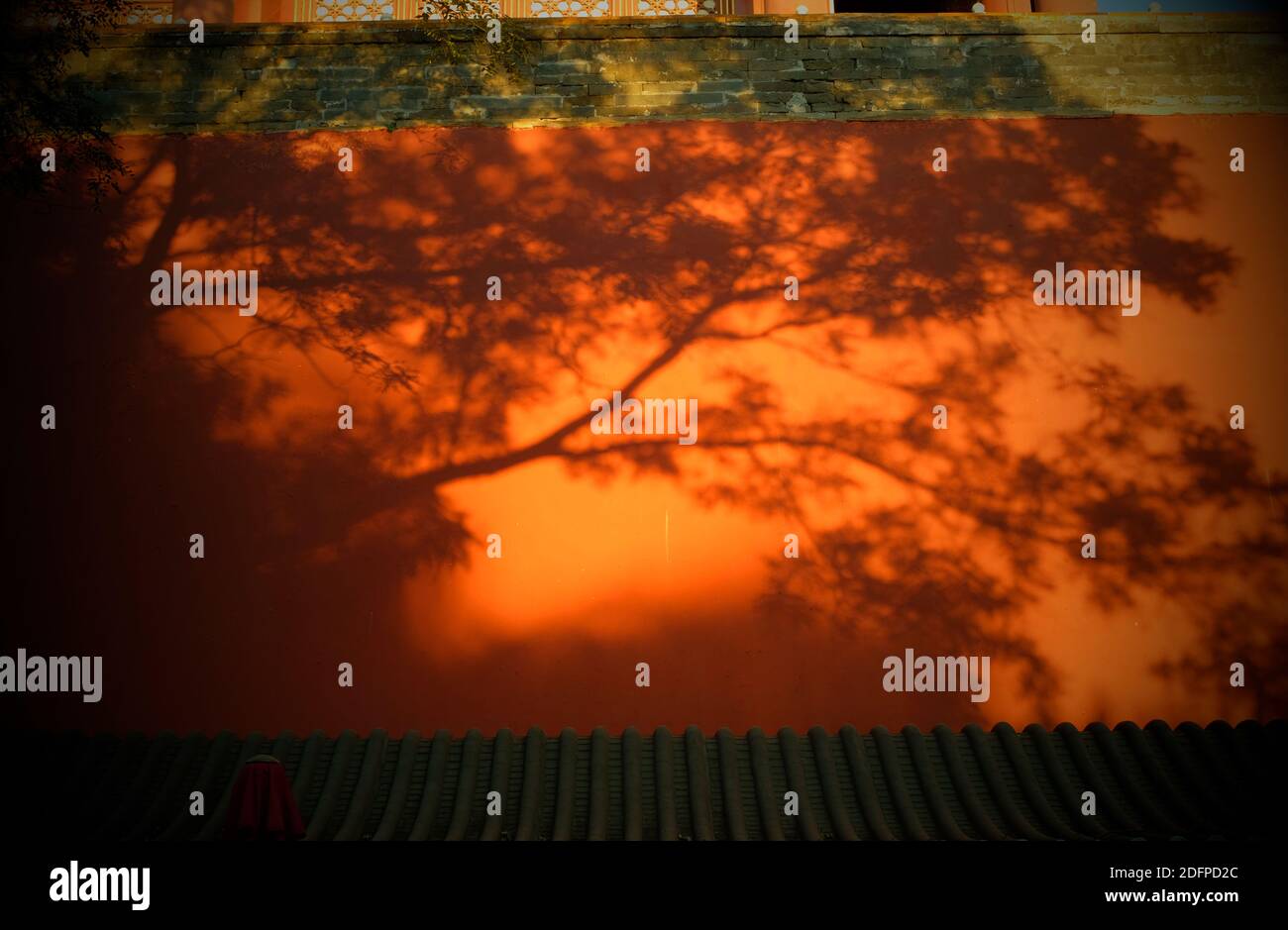L'ombra degli alberi sul muro della Città Proibita a Pechino, Cina. Foto Stock
