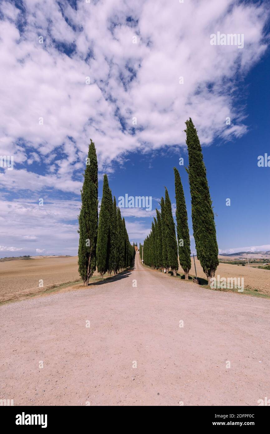 Val d'Orcia, Toscana, Italia Foto Stock