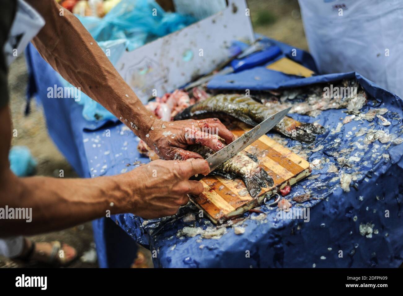 Immagine della profondità di campo poco profonda (fuoco selettivo) con le mani di un uomo che cucina pesce fresco su una tagliere di legno. Foto Stock