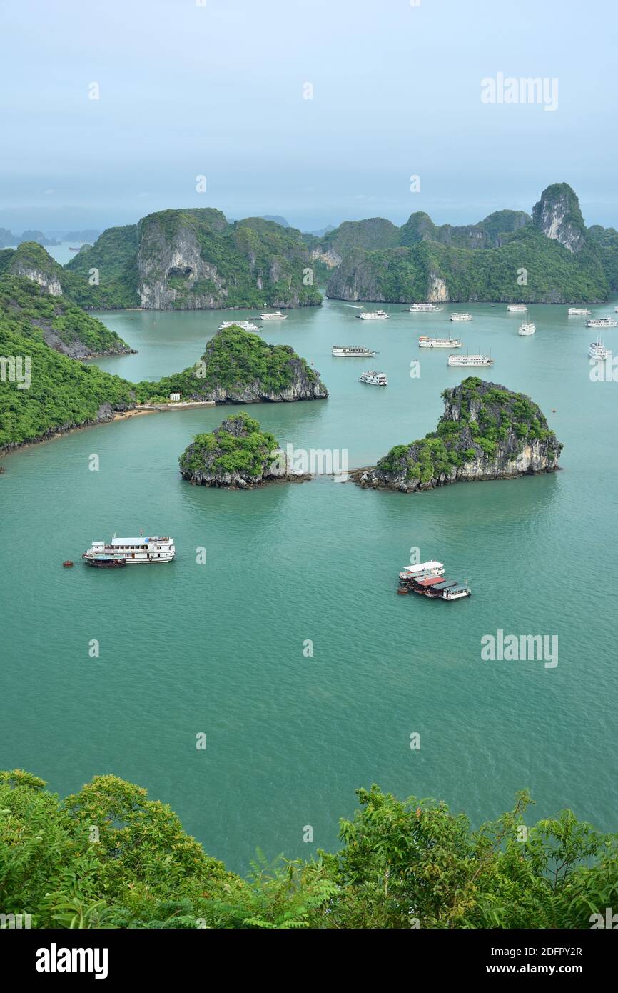 Isole carsiche e crociere dalla cima dell'isola ti Top nella baia di ha Long, Vietnam Foto Stock