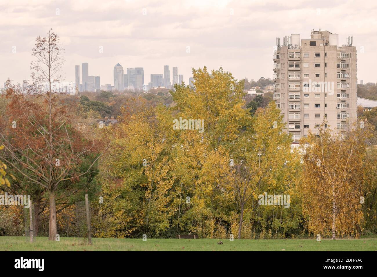 Vista della città di Londra da Norwood Park il 12 novembre 2020 a West Norwood a Londra nel Regno Unito. Foto di Sam Mellish Foto Stock