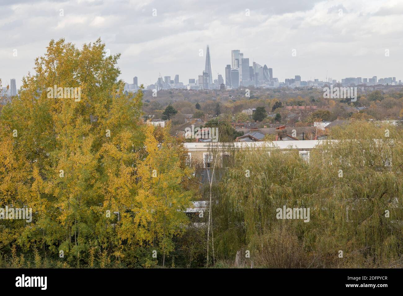 Vista della città di Londra da Norwood Park il 12 novembre 2020 a West Norwood a Londra nel Regno Unito. Foto di Sam Mellish Foto Stock