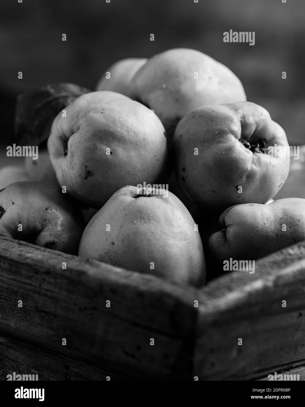 Mela cotogna su una tavola di legno,Haufen Quitten auf einem Tisch,Quinces su un tavolo,fotografia in bianco e nero di un mucchio di quinte,mela cotogna gialla, Foto Stock