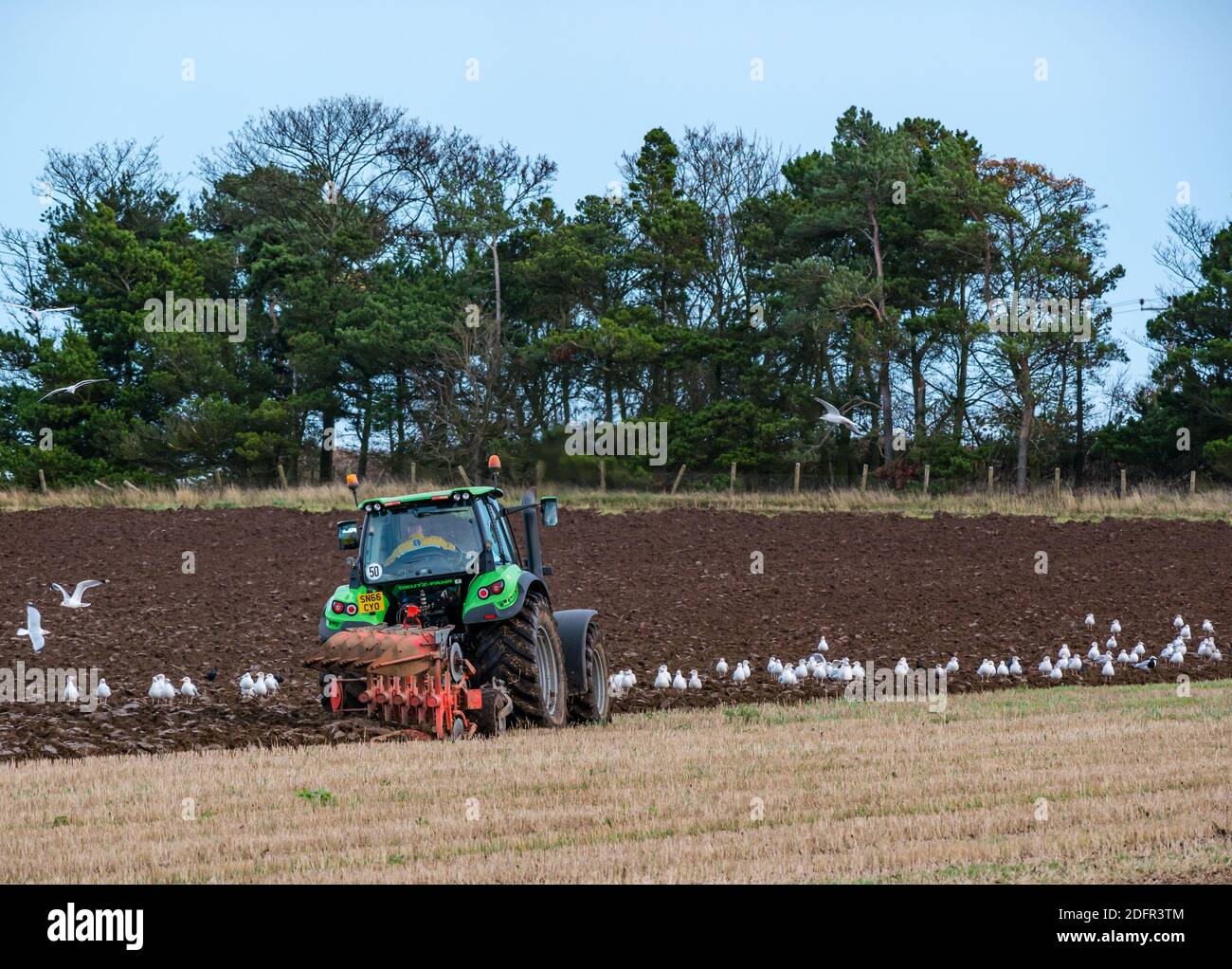 Lavori agricoli: Terreno di aratura con gabbiani per trattori Deutz-Fahr, East Lothian, Scozia, Regno Unito Foto Stock