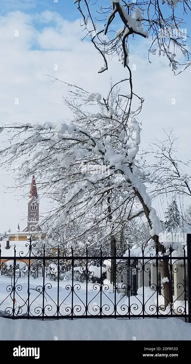 Sfondo invernale con rami di alberi e ramoscelli coperti di neve e ghiaccio Foto Stock
