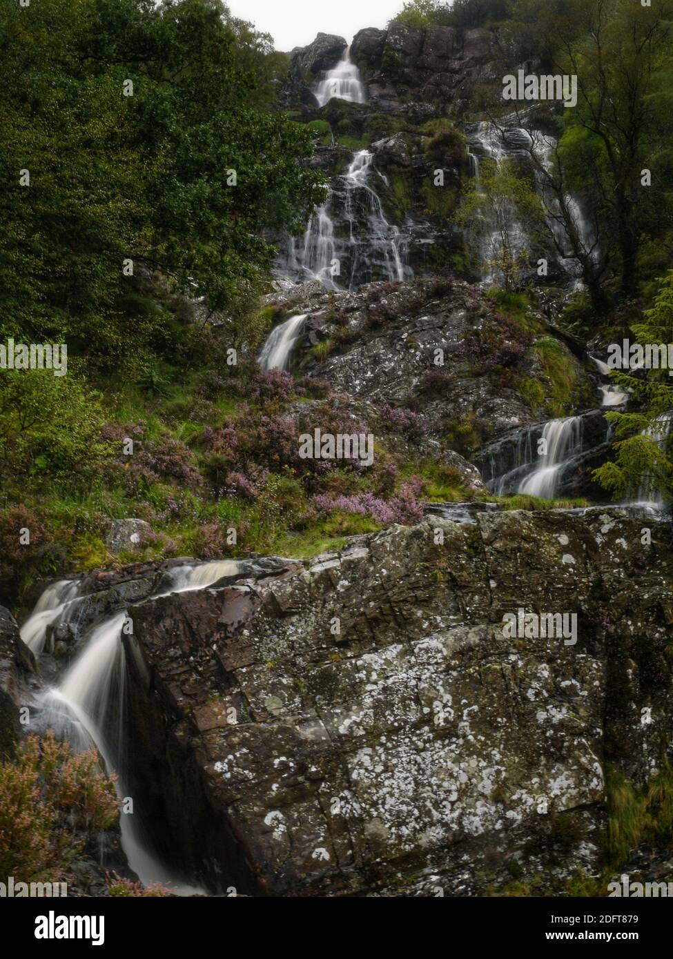 Le cascate rocciose e tumbling di Pistyll Rhydd-Meinciau su Afon Eiddew, in Y Berwyn (i Berwyn). Vicino al lago Vyrnwy Foto Stock