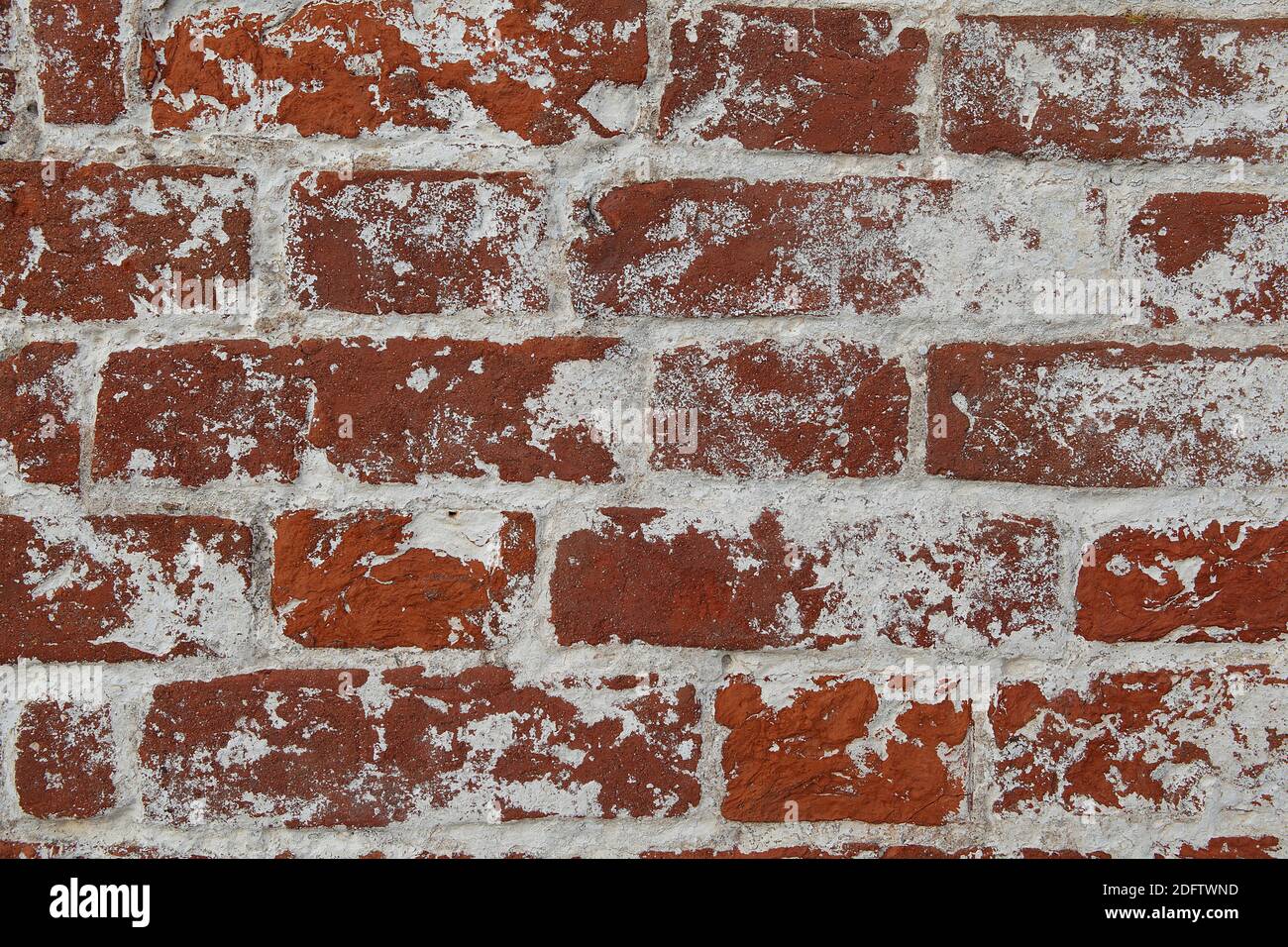parete in mattoni rosso vintage con cerotto bianco da peeling, struttura, sfondo Foto Stock