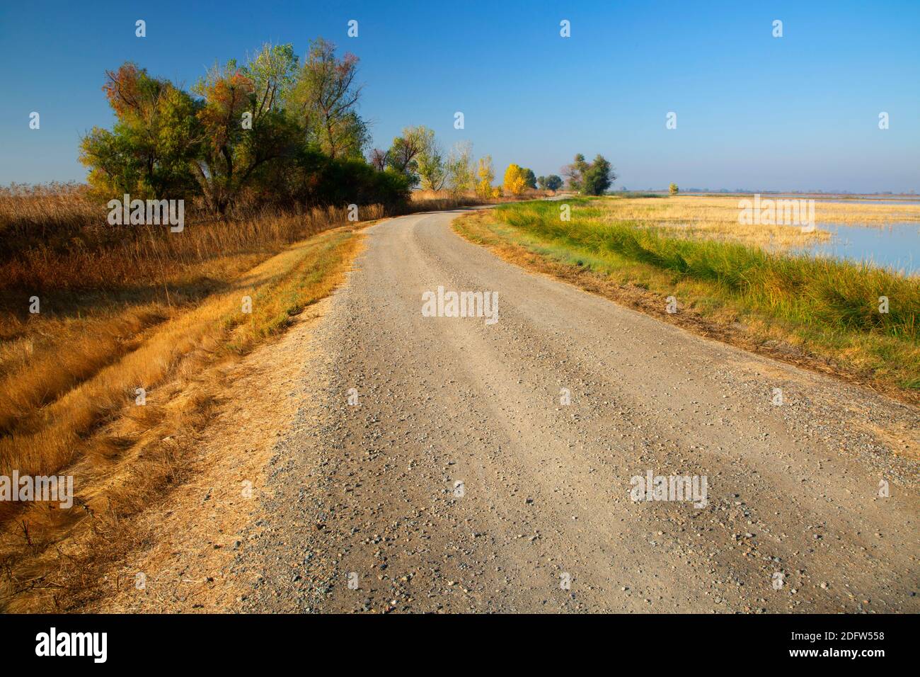 Auto Tour Route, Merced National Wildlife Refuge, California Foto Stock