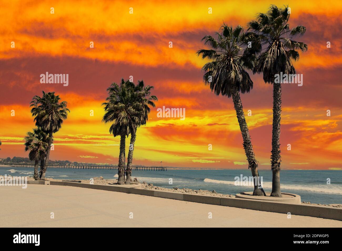 Ventura California Beach plaza palme con molo sullo sfondo e cielo tramonto. Foto Stock