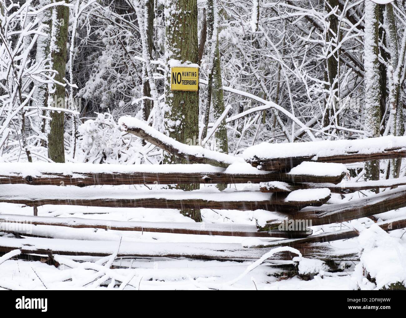 Un cartello di non caccia Trespassing su un albero di foresta sopra un recinto ferroviario coperto di neve durante una tempesta di neve. Foto Stock