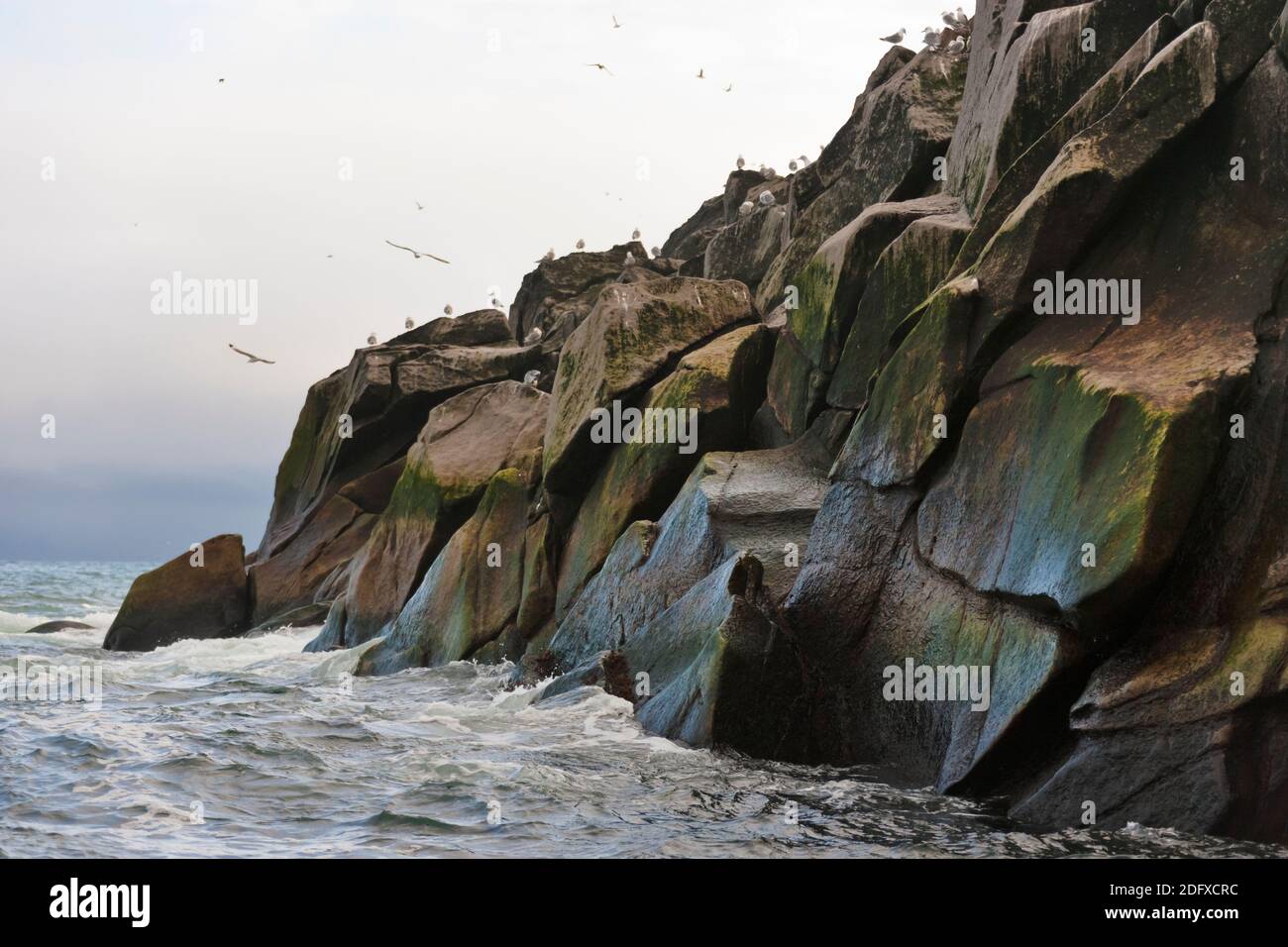 Isola rocciosa con vista oceano, Cape Archen, mare di Bering, Estremo Oriente Russo Foto Stock