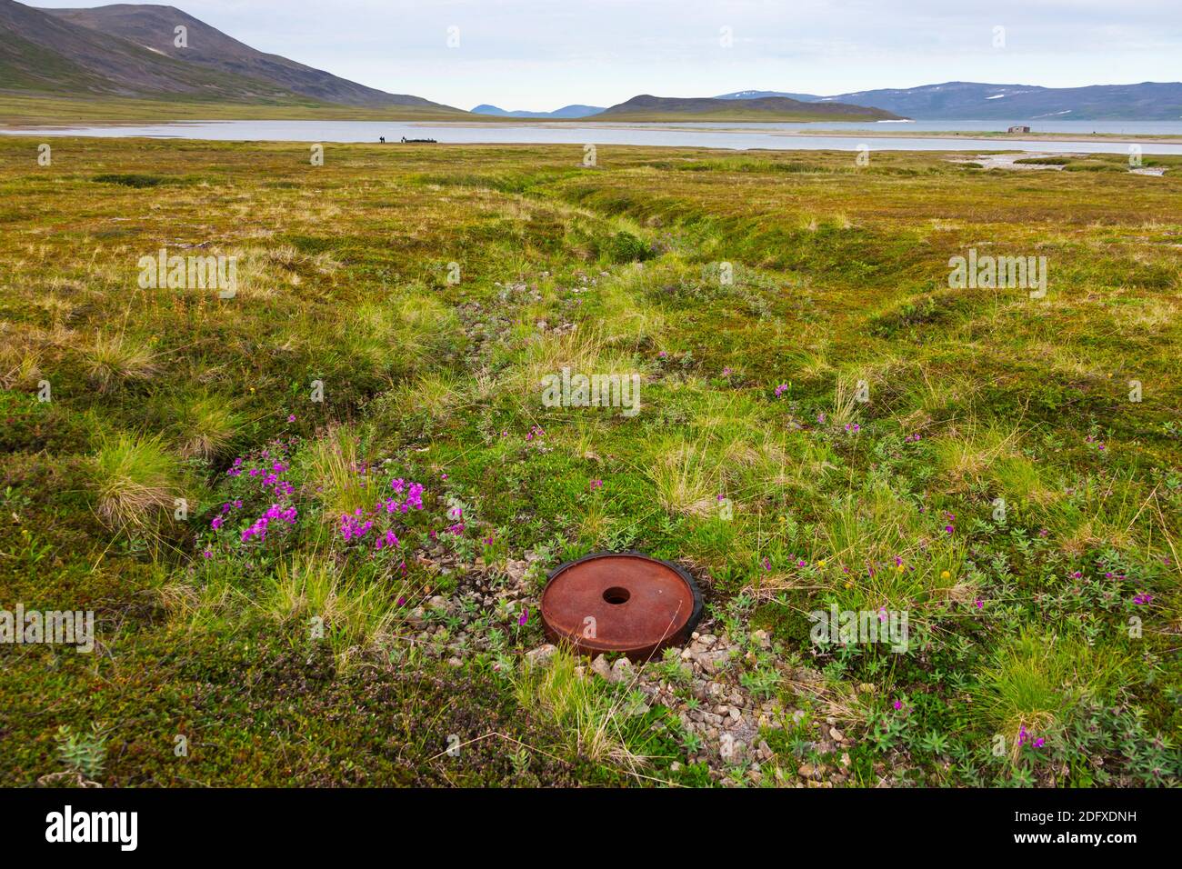 Abbandonato barile di petrolio nella tundra, Chukchi Peninsula, Estremo Oriente Russo Foto Stock