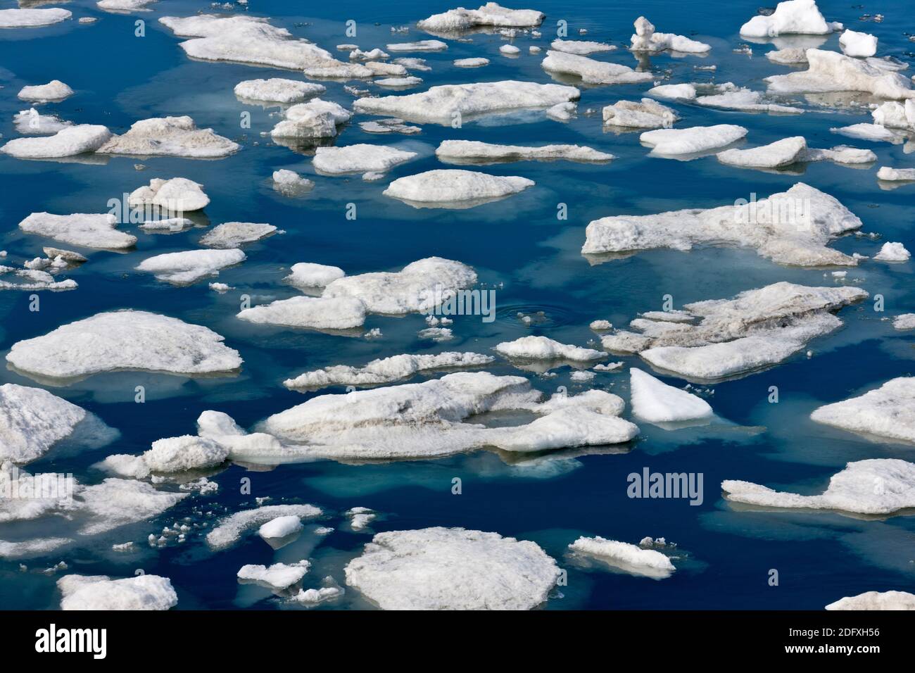 Ghiaccio galleggiante sul mare di Bering, Russia Estremo Oriente Foto Stock