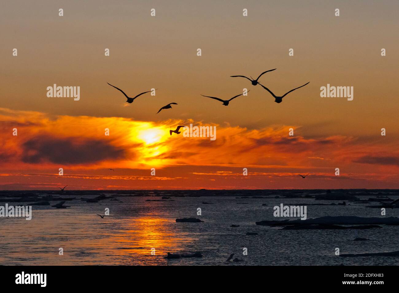 Vista al tramonto sul Mar di Bering, Russia Estremo Oriente Foto Stock