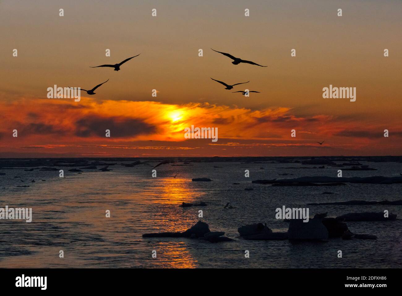 Vista al tramonto sul Mar di Bering, Russia Estremo Oriente Foto Stock