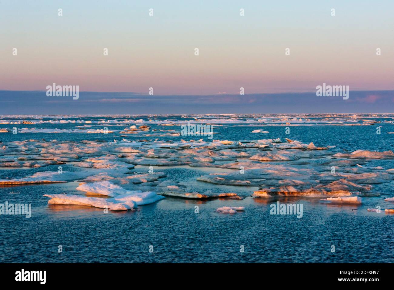 Vista al tramonto del ghiaccio galleggiante sul mare di Bering, Russia Estremo Oriente Foto Stock