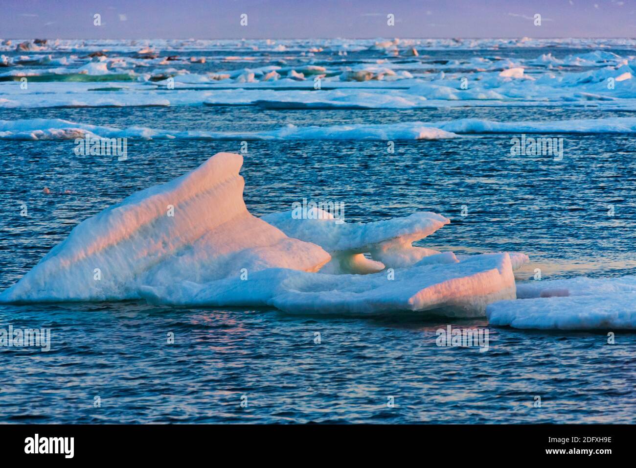 Ghiaccio galleggiante nel mare di Bering, Russia Estremo Oriente Foto Stock