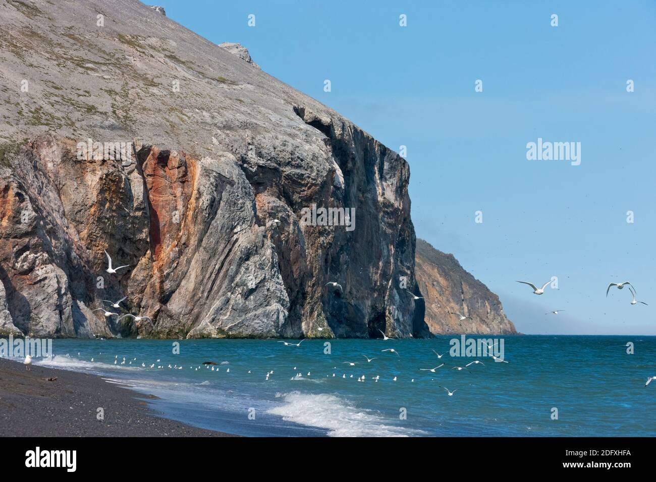 Scogliera rocciosa e la spiaggia, Capo Dezhnev, la maggior parte orientale dell Eurasia, Estremo Oriente Russo Foto Stock