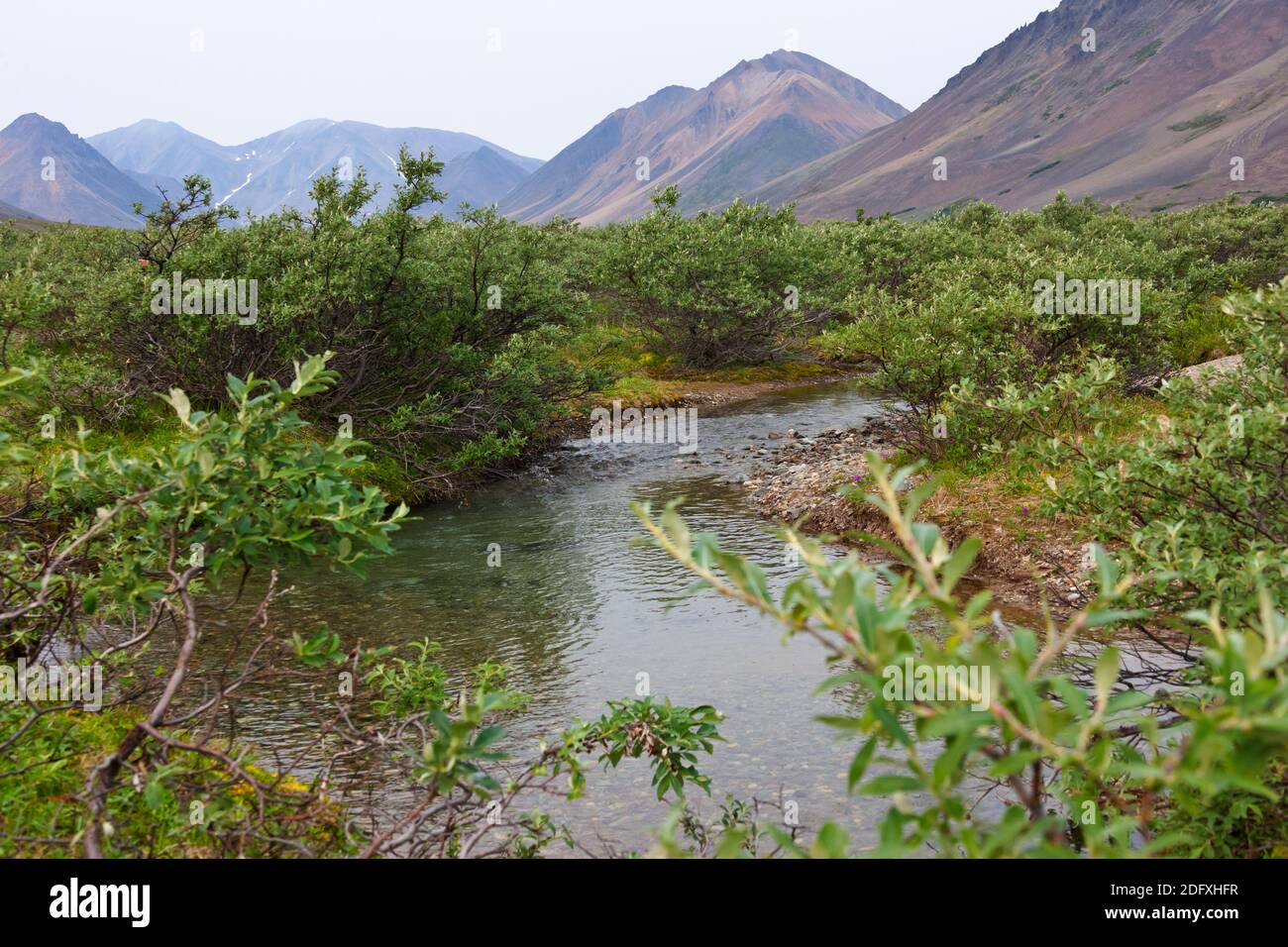 Glacier river, Yttygran Isola del Mare di Bering, Russia Estremo Oriente Foto Stock