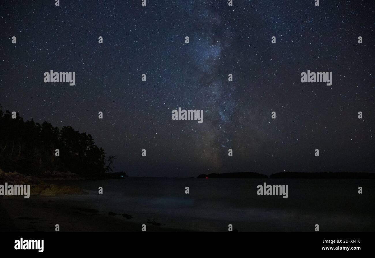 Il cielo stellato notturno visto da Tonquin Beach a settembre, Vancouver Island vicino a Tofino, BC, Canada. Foto Stock