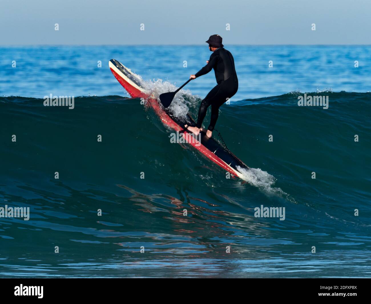 Alzati in piedi sul paddleboarder godendoti le onde di la Jolla Shores, San Diego, California, USA Foto Stock