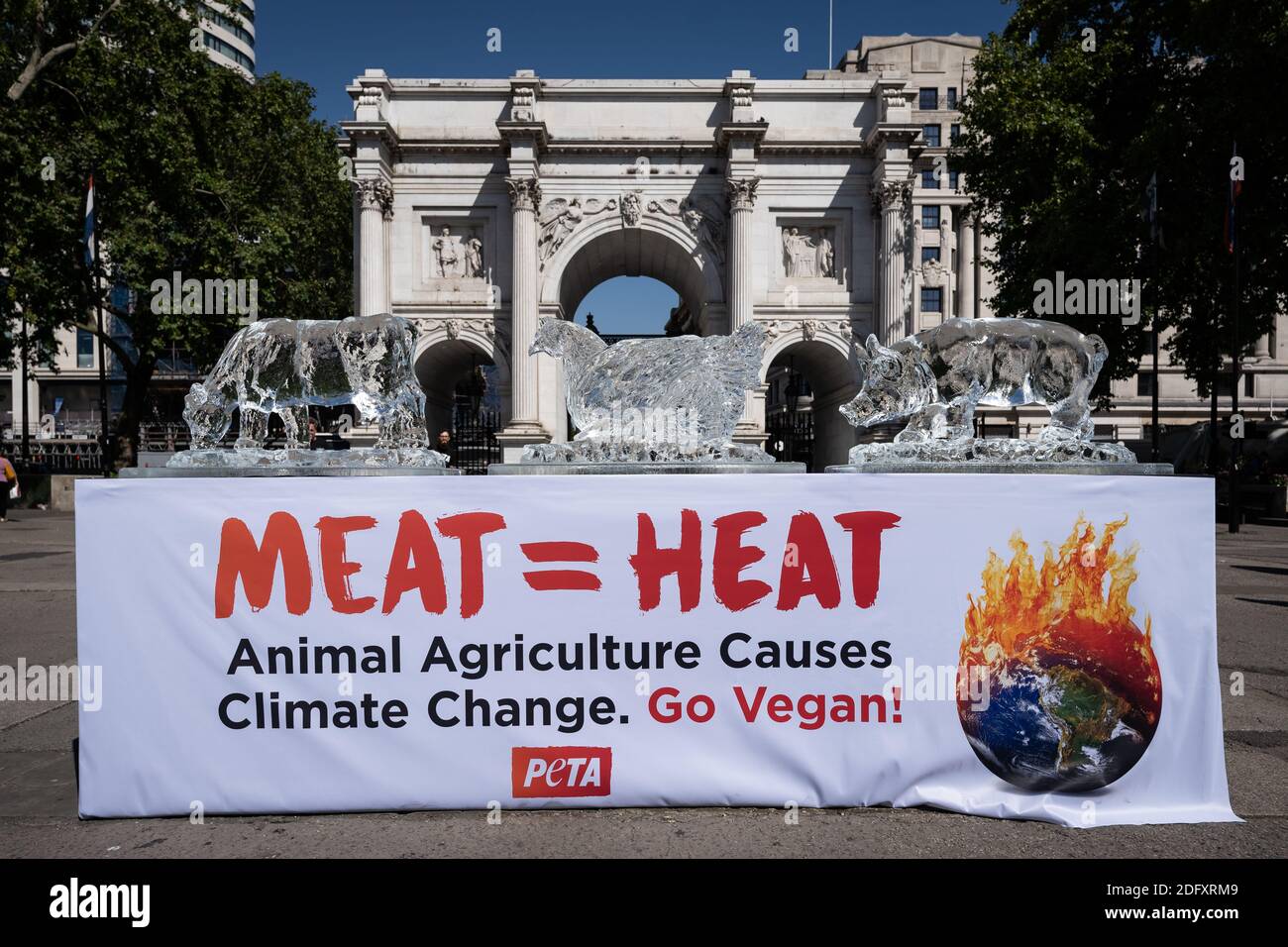 PETA Heatwave protesta. Gli attivisti per i diritti degli animali PETA collocano un trio di sculture di ghiaccio animale, tra cui una mucca, maiale e pollo per sciogliersi lentamente, Londra Foto Stock