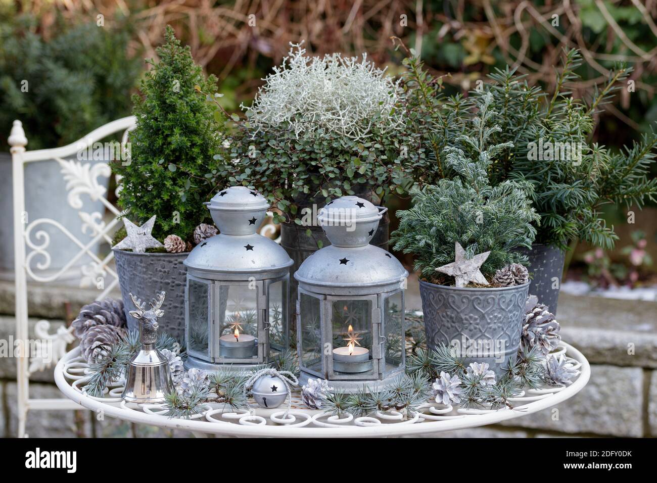 decorazione giardino invernale con conifere in pentole di zinco e annata lanterne Foto Stock
