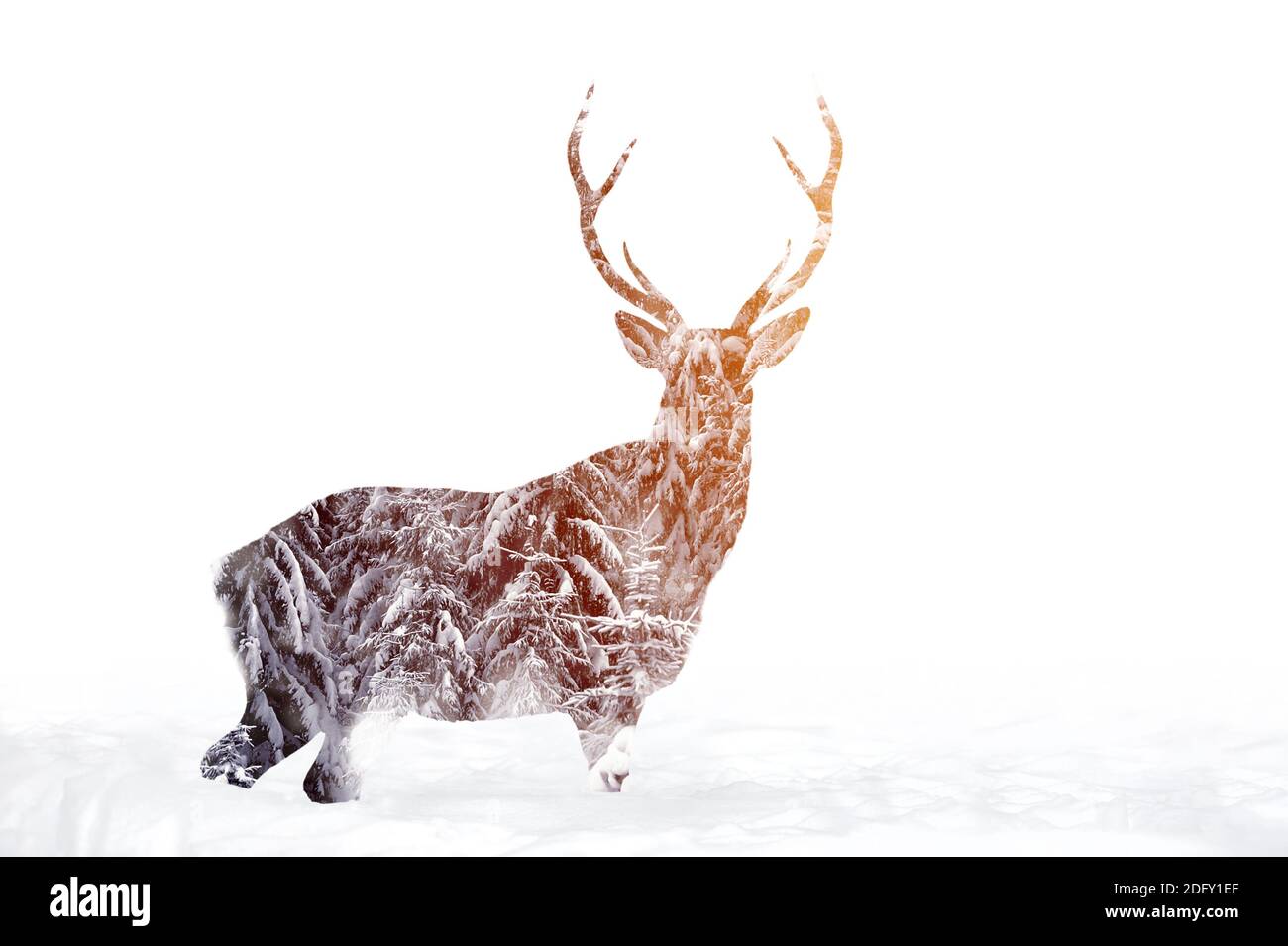 Doppia esposizione di cervi nella foresta invernale. Splendido paesaggio naturale Foto Stock