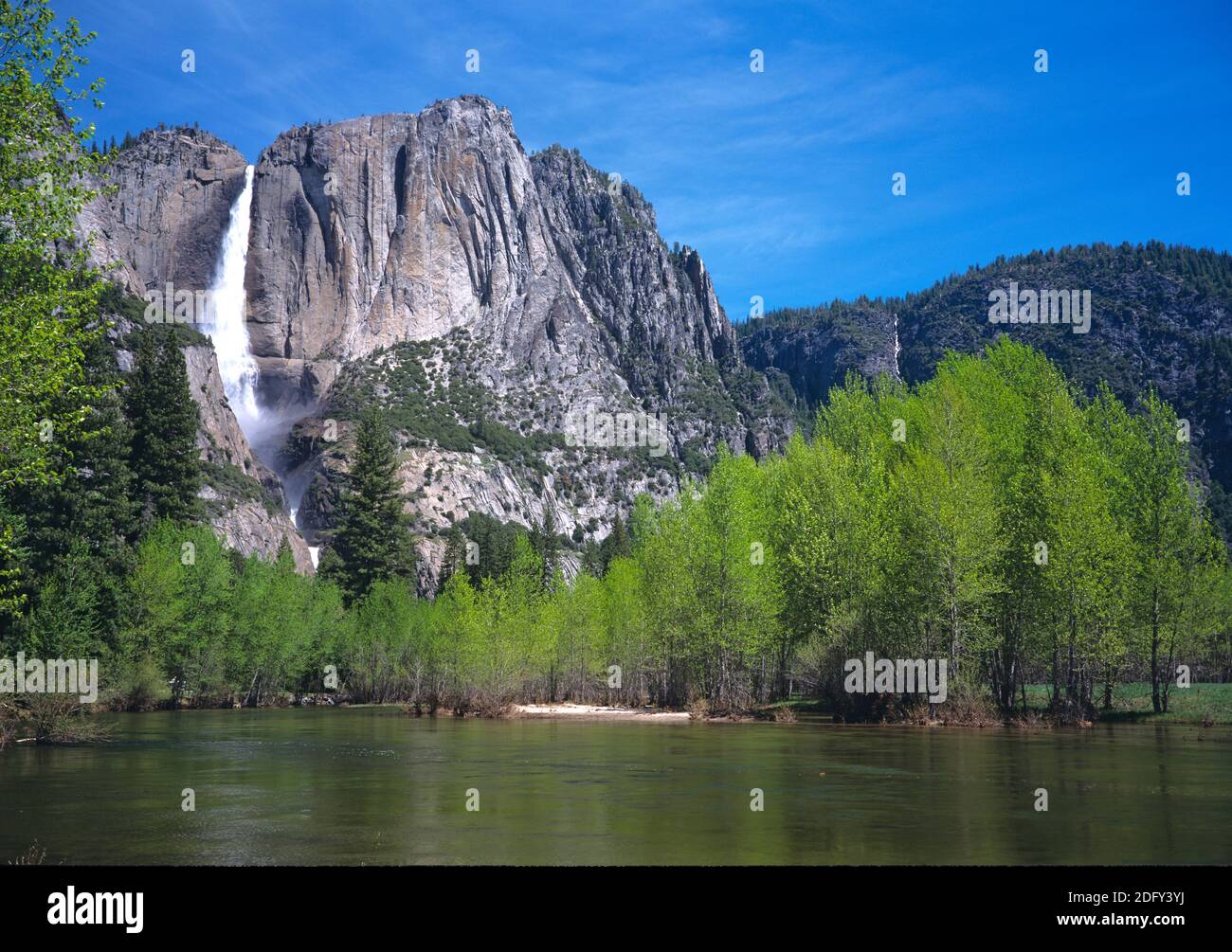 Le impressionanti cascate di Yosemite e il fiume Merced nella valle del Parco Naturale Yosemite in California. Foto Stock