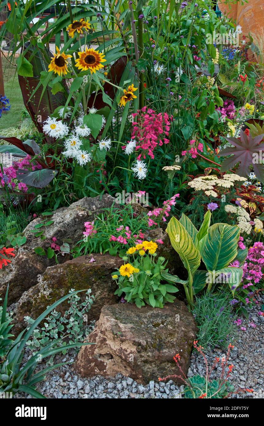 Un bordo di fiori esotici con una vasta gamma di colori fiori e piante che fanno combinazioni di piante interessanti Foto Stock