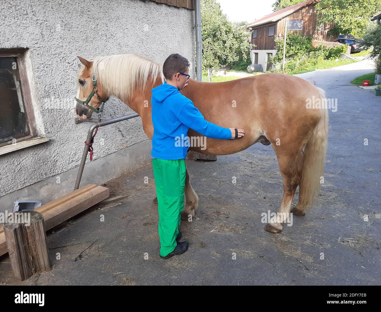 Ragazzo che mancia un cavallo di fronte alla stalla Foto Stock