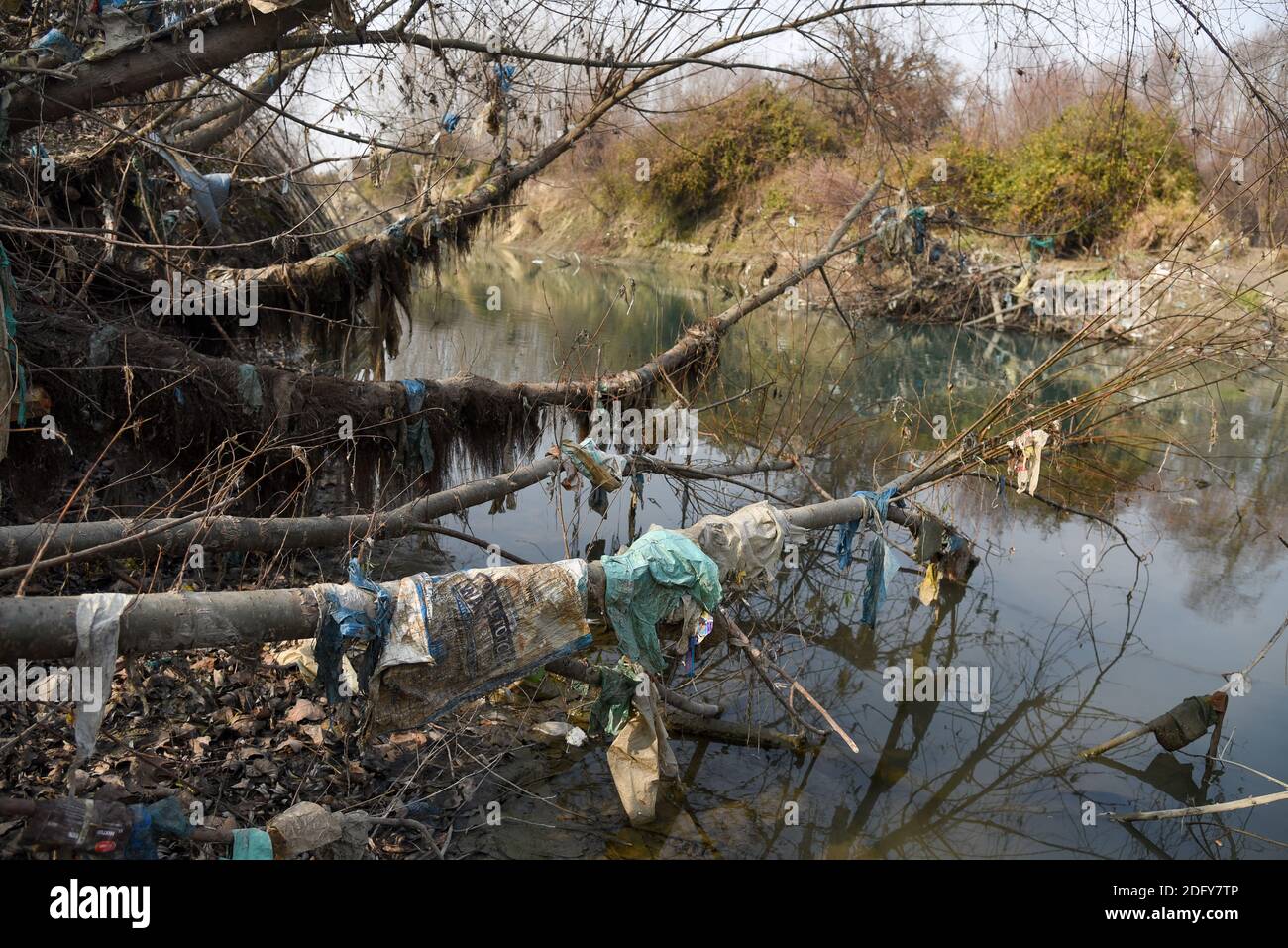 Ganderbal, India. 07 dicembre 2020. Sacchetti di plastica sono visti appesi su alberi sul bordo del fiume sindh in Ganderbal Kashmir.A valle tra la catena montuosa del Grande Himalaya e il PIR Panjal, Kashmir è un luogo di bella semplicità e incontaminata bellezza naturale. Il Kashmir ha una varietà di terreni che vanno da laghi, montagne innevate, colline conifere baciate ai fiumi alimentati da ghiacciai. Credit: SOPA Images Limited/Alamy Live News Foto Stock