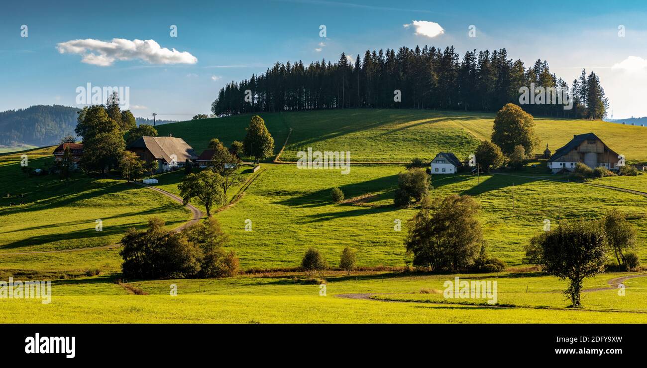 Bauernhöfe a Breitnau, Schwarzwald Foto Stock