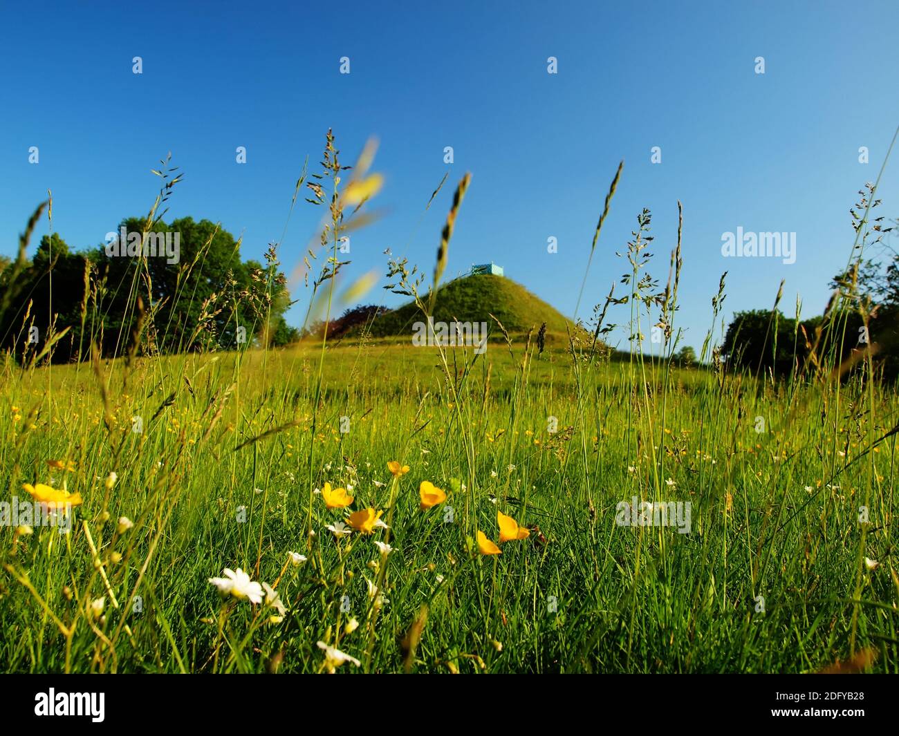 Vista della piramide di terra sullo sfondo a Branitzer Parcheggio Foto Stock