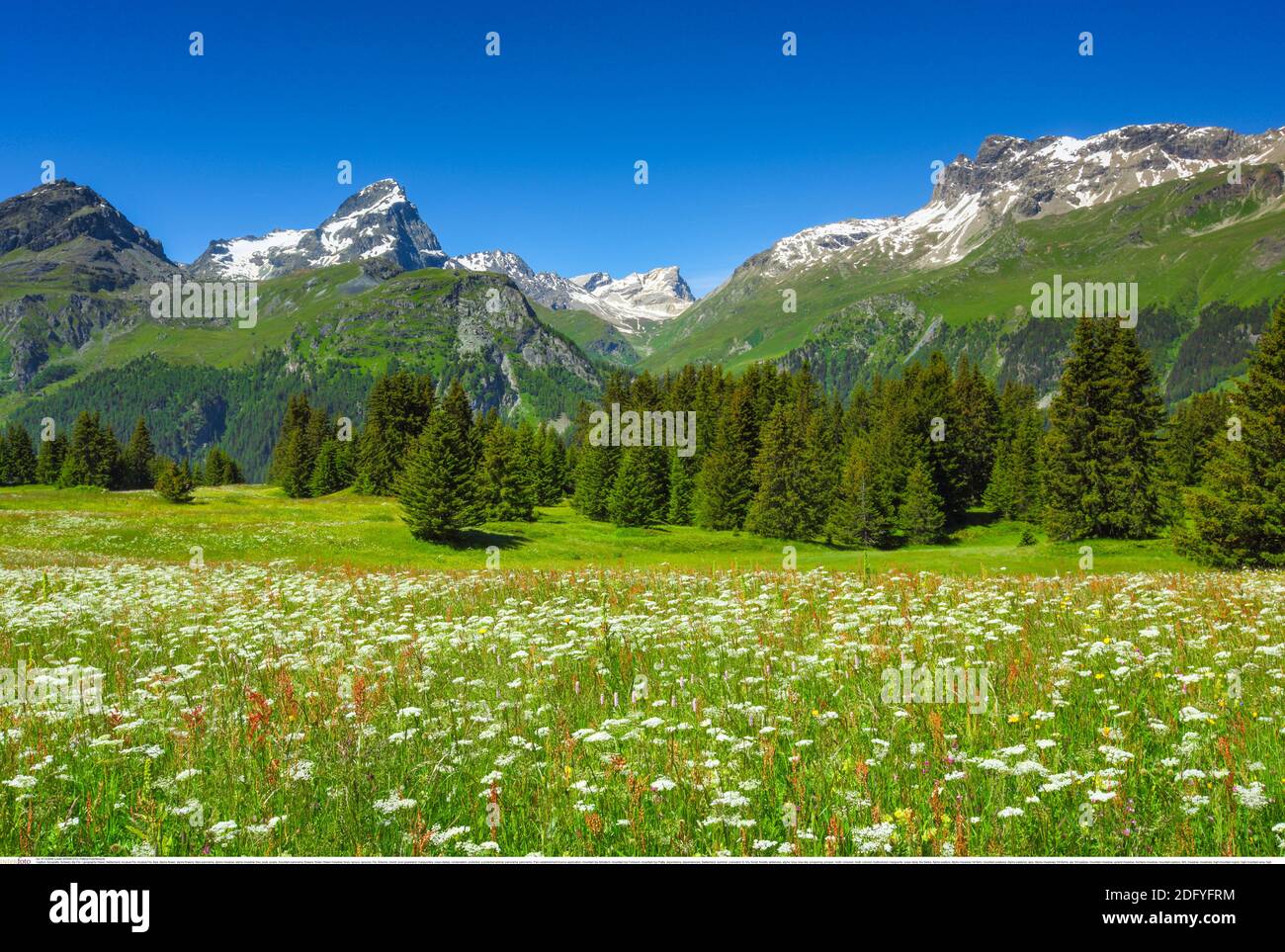 Geografia / viaggio, Svizzera, incubus Flix, diritti-aggiuntivi-liquidazione-Info-non-disponibile Foto Stock