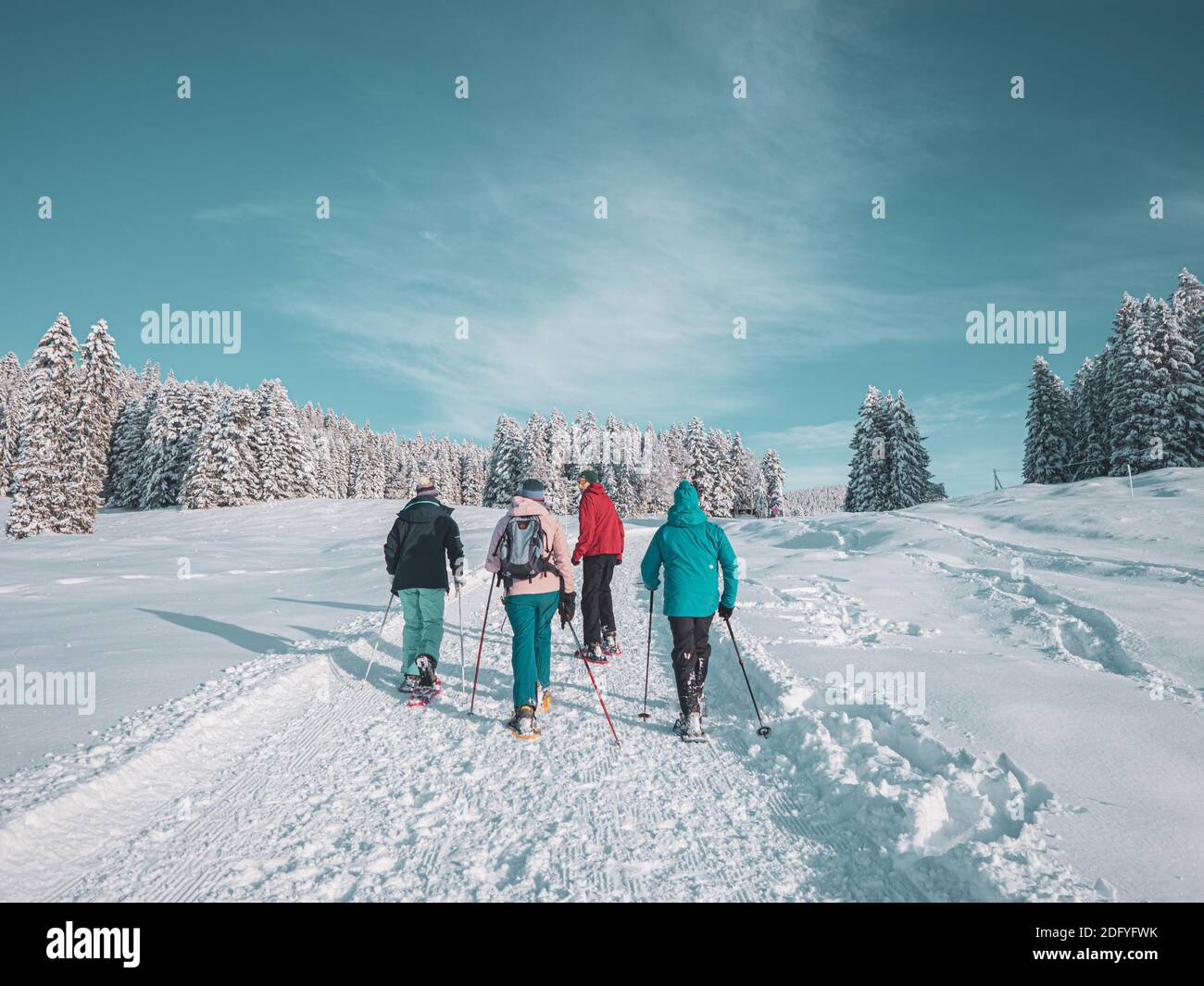 Un gruppo di amici partera per un'escursione con spettacolo di neve. I 4 amici adulti camminano lungo un sentiero innevato sullo sfondo di un cielo blu in una meraviglia invernale Foto Stock