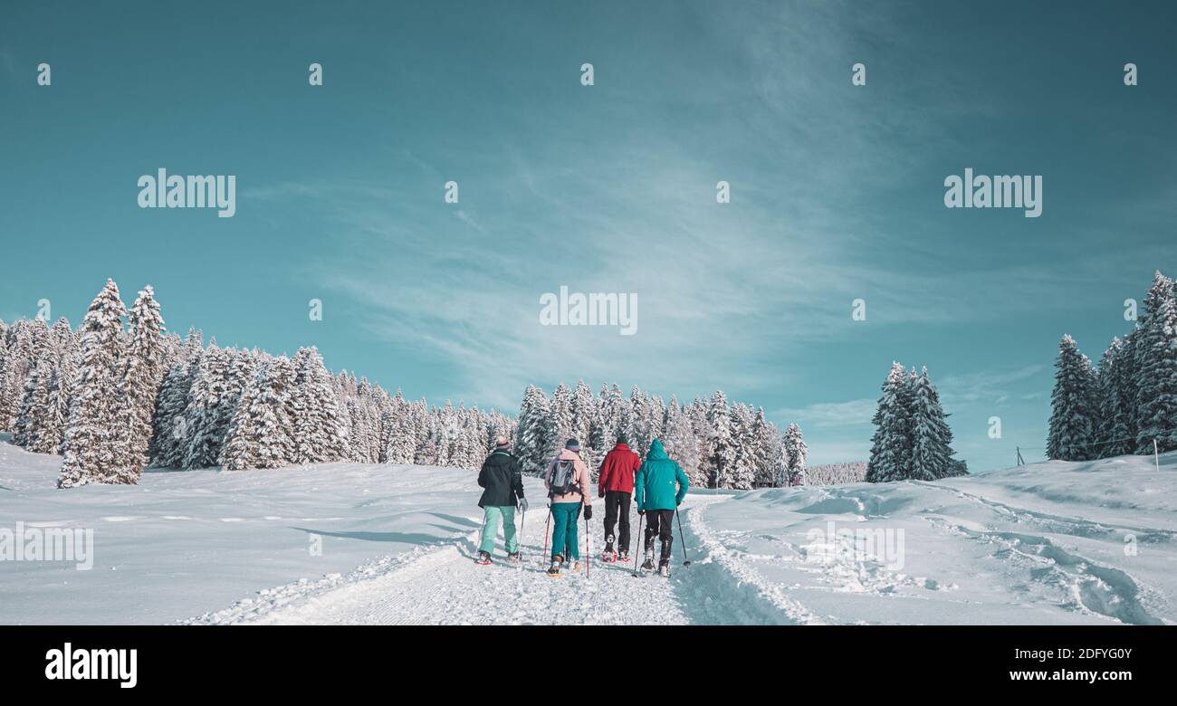 Un gruppo di amici partera per un'escursione con spettacolo di neve. I 4 amici adulti camminano lungo un sentiero innevato sullo sfondo di un cielo blu in una meraviglia invernale Foto Stock
